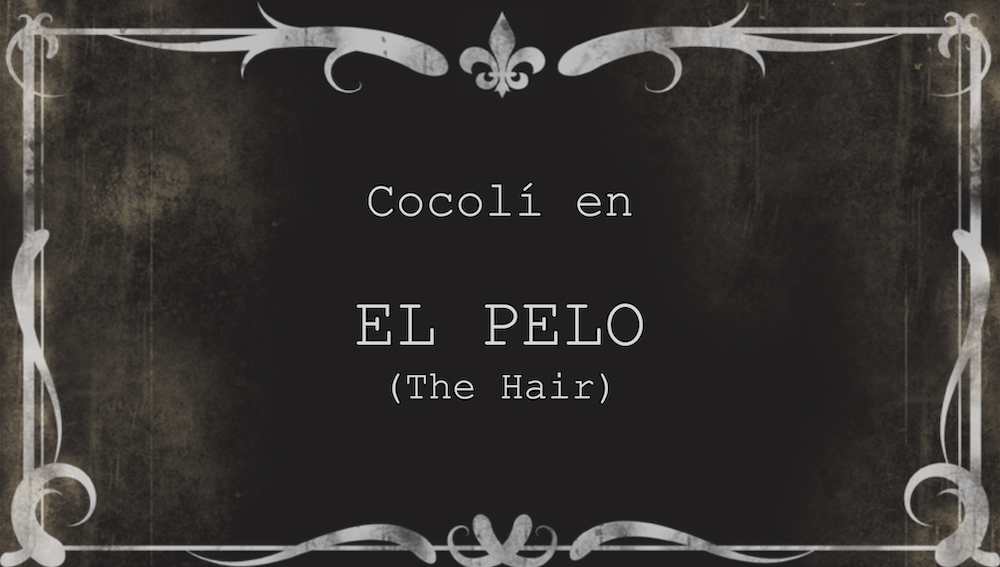 Cocolí en ‘El pelo’