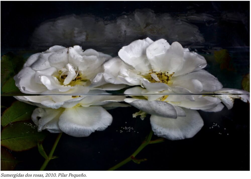 Fotografía: Pilar Pequeño en el Botánico