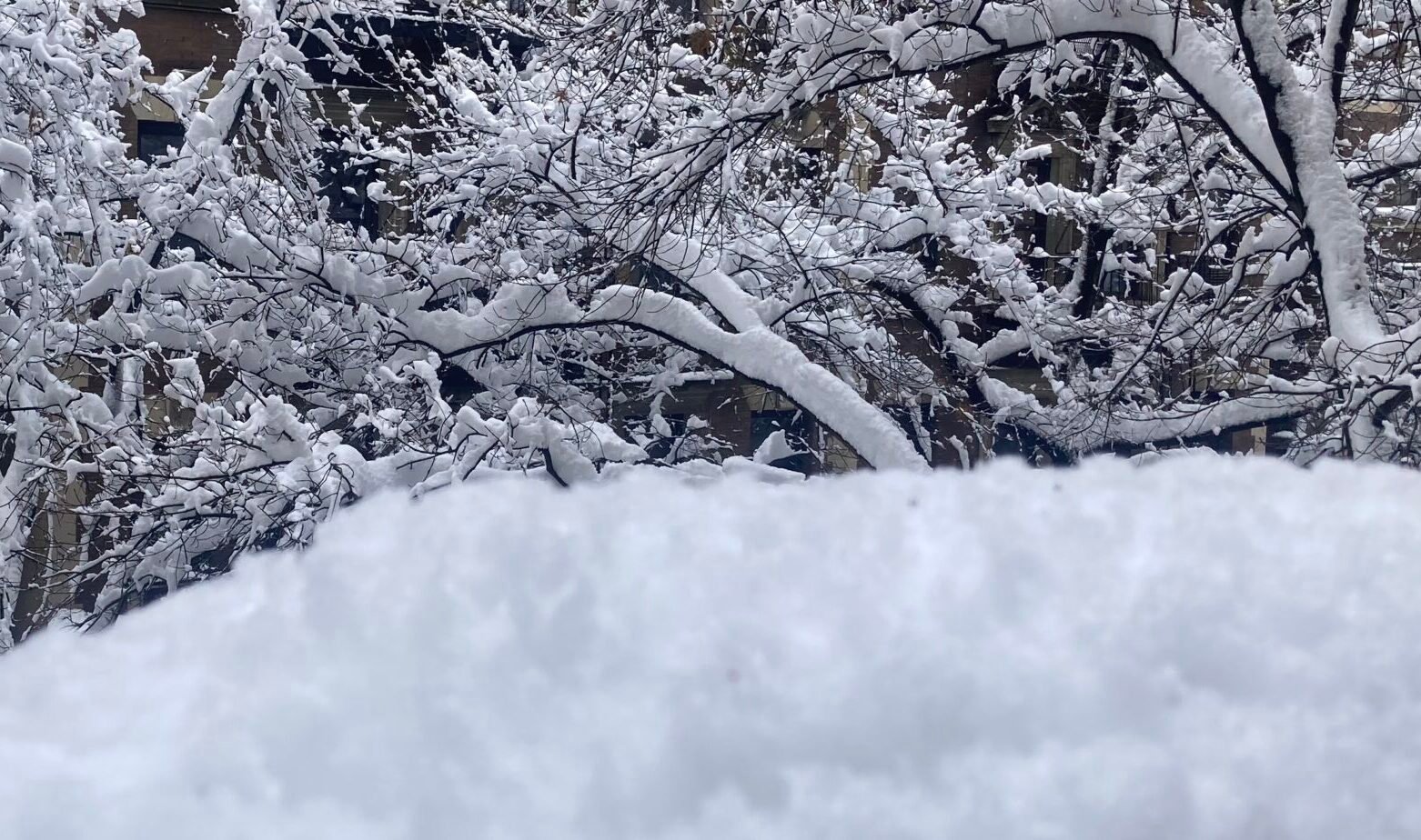 2026’II’23 · La nieve y la bondad