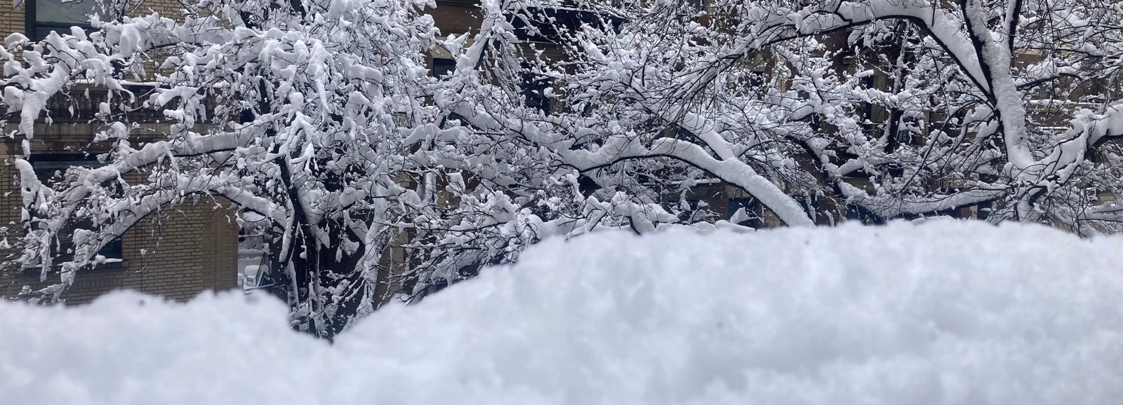 2026’II’23 · La nieve y la bondad